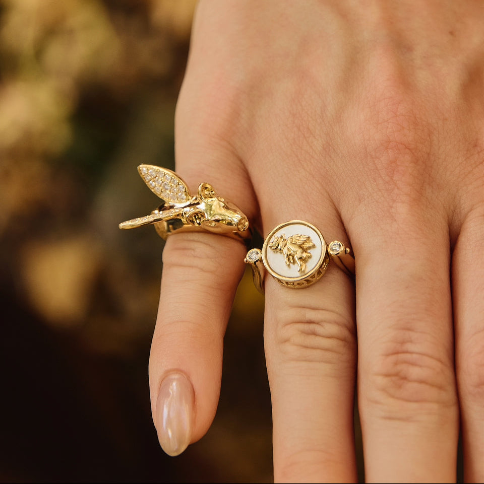 Believe in Love Ring-Shot From Above