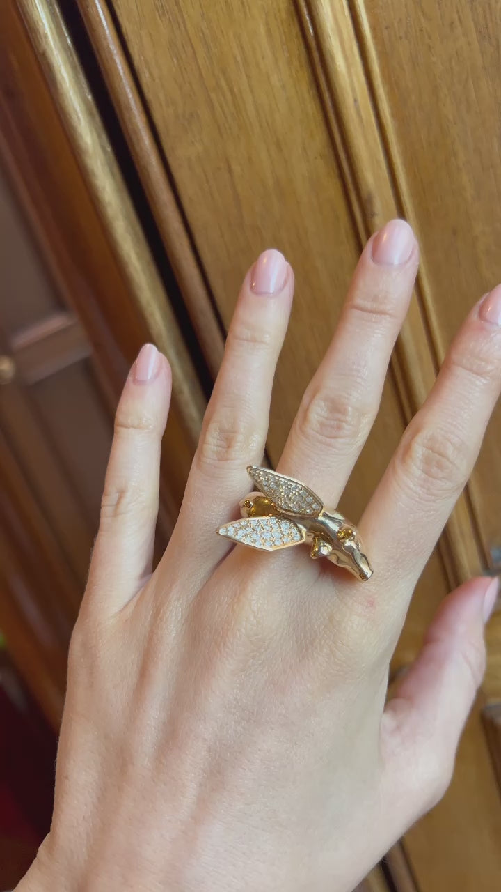 Believe in Love Ring-Video